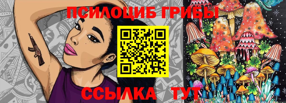 Тамбов  Галлюциногенные грибы Psilocybine cubensis  Вход с VPN  Псилоцибиновые грибы GOLDEN TEACHER 